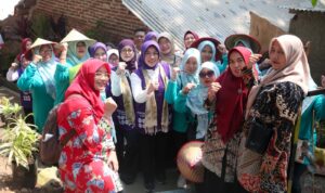 IMG-20260729-WA0069
